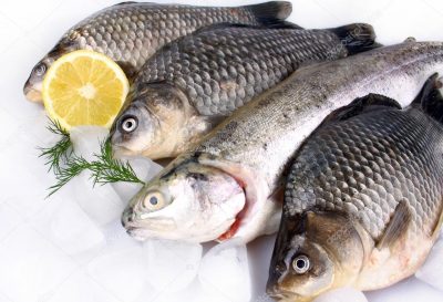 depositphotos_24548973-stock-photo-fresh-fish-on-white-background